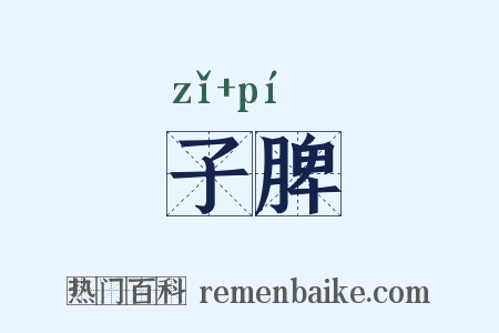 子脾是什么意思的图片